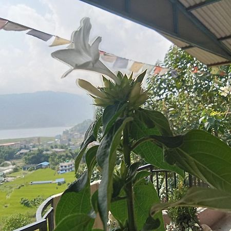 Gautam Garden Guest House بوكْرا المظهر الخارجي الصورة