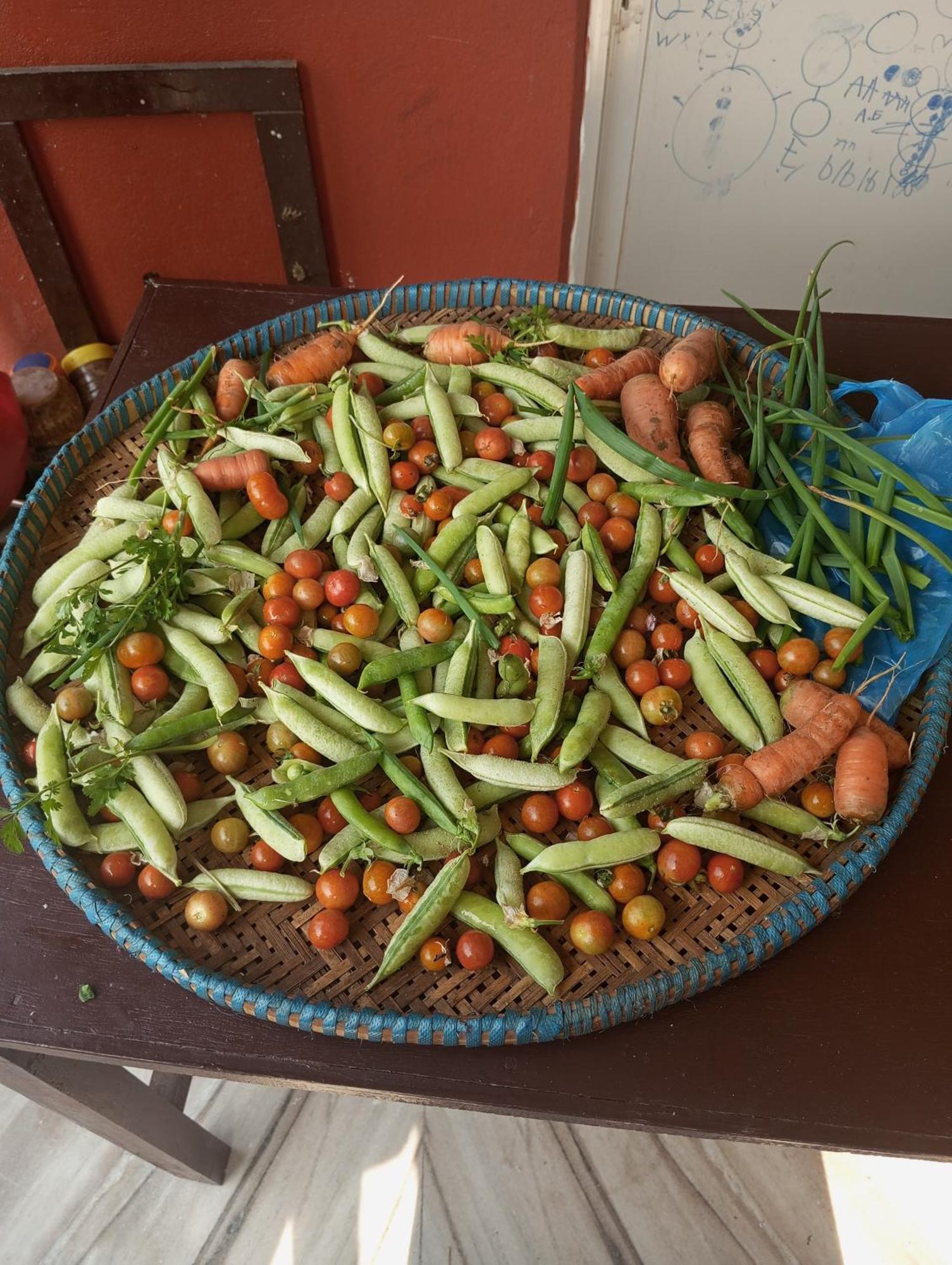Gautam Garden Guest House بوكْرا المظهر الخارجي الصورة