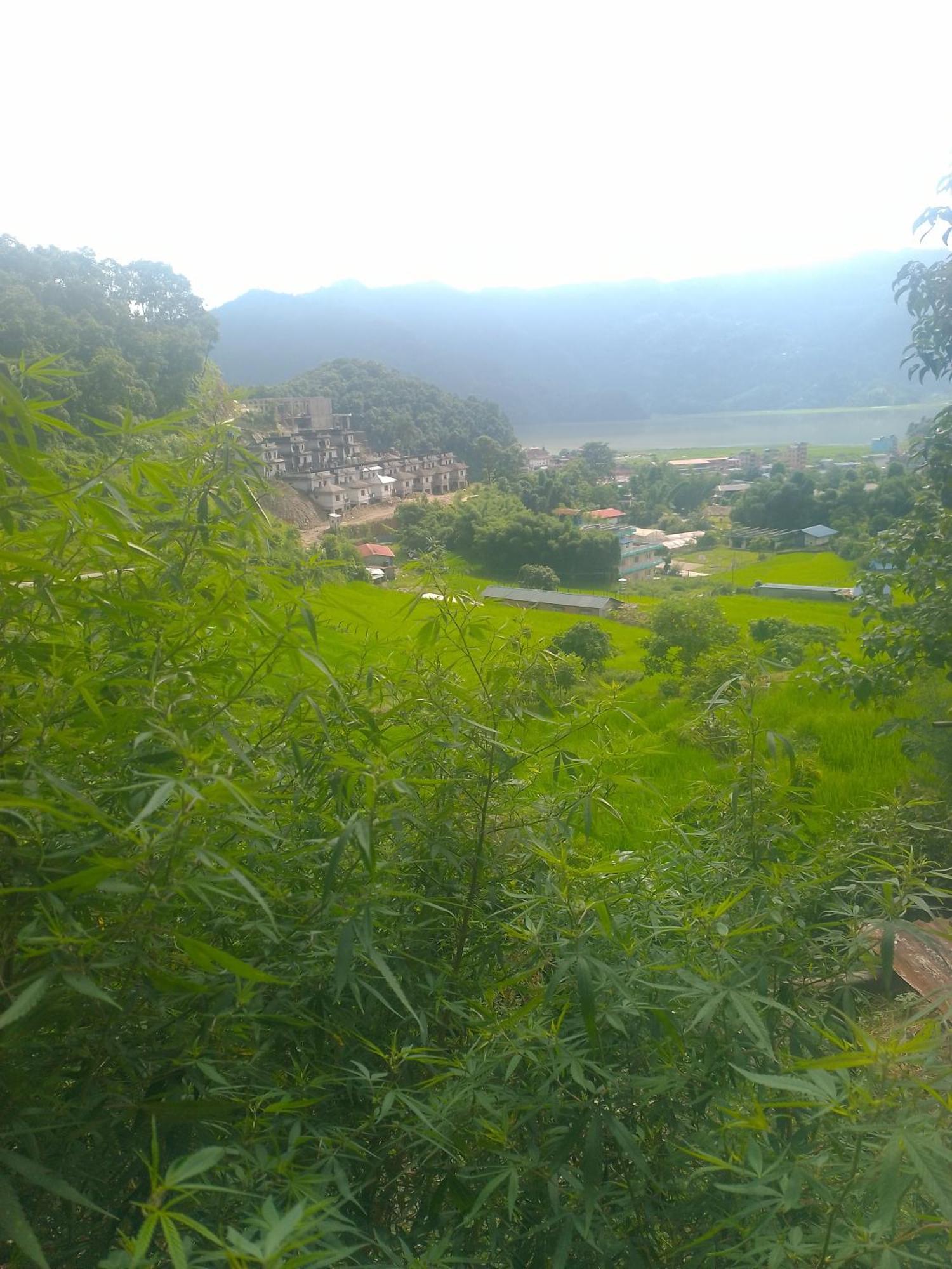 Gautam Garden Guest House بوكْرا المظهر الخارجي الصورة